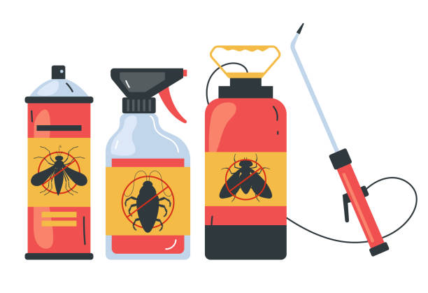 Trusted Fife, WA Pest Control Experts