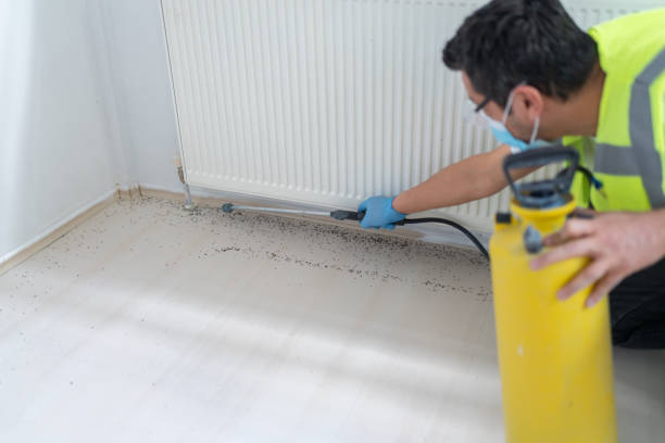 Best Pest Control Near Me in Fife, WA